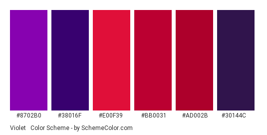 Violet & Crimson - Color scheme palette thumbnail - #8702b0 #38016f #e00f39 #bb0031 #ad002b #30144c 