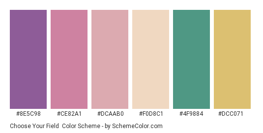 Choose your Field - Color scheme palette thumbnail - #8e5c98 #ce82a1 #dcaab0 #f0d8c1 #4f9884 #dcc071 