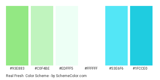 Real Fresh - Color scheme palette thumbnail - #93e883 #c0f4be #edfff5 #ffffff #53e6f6 #1fcce0 