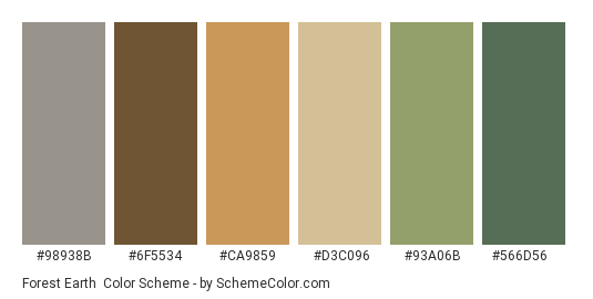Forest Earth - Color scheme palette thumbnail - #98938B #6F5534 #CA9859 #D3C096 #93A06B #566D56 