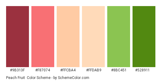 Peach Fruit - Color scheme palette thumbnail - #9B313F #F87074 #FFCBA4 #FFDAB9 #8BC451 #528911 