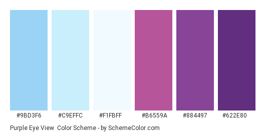 Purple Eye View - Color scheme palette thumbnail - #9BD3F6 #C9EFFC #F1FBFF #B6559A #884497 #622E80 