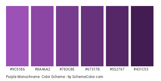 Purple Monochrome - Color scheme palette thumbnail - #9C51B6 #8A46A2 #783C8E #67317B #552767 #431C53 