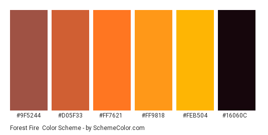 Forest Fire - Color scheme palette thumbnail - #9f5244 #d05f33 #ff7621 #ff9818 #feb504 #16060c 