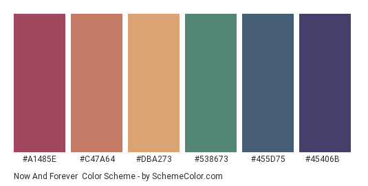 Now and Forever - Color scheme palette thumbnail - #A1485E #C47A64 #DBA273 #538673 #455D75 #45406B 