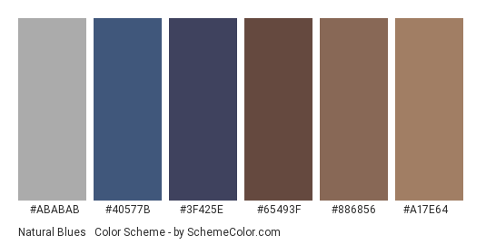 Natural Blues & Browns - Color scheme palette thumbnail - #ABABAB #40577B #3F425E #65493F #886856 #A17E64 