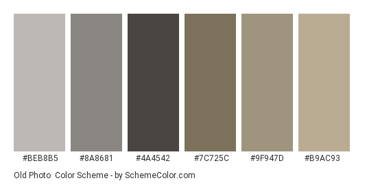 Old Photo - Color scheme palette thumbnail - #BEB8B5 #8A8681 #4A4542 #7C725C #9F947D #B9AC93 