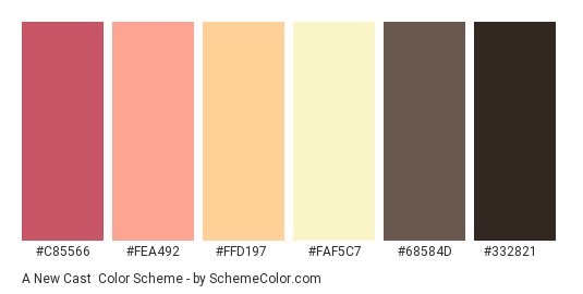 A New Cast - Color scheme palette thumbnail - #C85566 #FEA492 #FFD197 #FAF5C7 #68584D #332821 