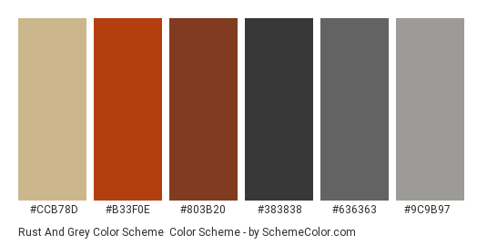 Rust and Grey Color Scheme - Color scheme palette thumbnail - #CCB78D #B33F0E #803B20 #383838 #636363 #9C9B97 