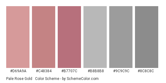 Pale Rose Gold & Grays - Color scheme palette thumbnail - #D69A9A #C48384 #B7707C #B8B8B8 #9C9C9C #8C8C8C 