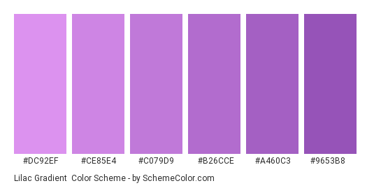 Lilac Gradient - Color scheme palette thumbnail - #DC92EF #CE85E4 #C079D9 #B26CCE #A460C3 #9653B8 