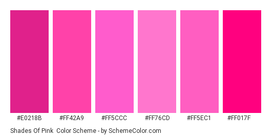 Shades of Pink - Color scheme palette thumbnail - #E0218B #FF42A9 #FF5CCC #FF76CD #FF5EC1 #FF017F 