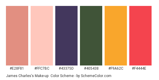 James Charles’s Make-up - Color scheme palette thumbnail - #E28F81 #FFC7BC #43375D #405438 #F9A62C #F4444E 