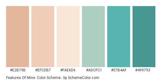 Features of Mine - Color scheme palette thumbnail - #E2B79B #EFCDB7 #FAE6D6 #ADCFC1 #57B4AF #499793 