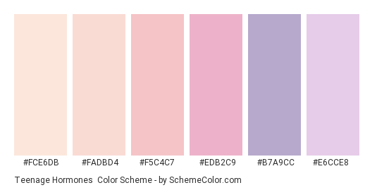 Teenage Hormones - Color scheme palette thumbnail - #FCE6DB #FADBD4 #F5C4C7 #EDB2C9 #B7A9CC #E6CCE8 