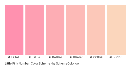Little Pink Number - Color scheme palette thumbnail - #FF91AF #FE9FB2 #FDADB4 #FDBAB7 #FCC8B9 #FBD6BC 