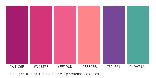 Telemagenta Tulip - Color scheme palette thumbnail - #a41c6e #d43578 #ef5d8d #fe868b #754796 #4da79a 