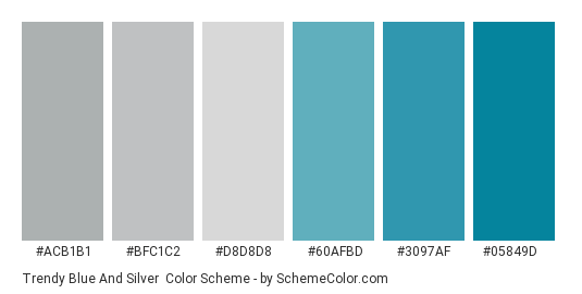 Trendy Blue and Silver - Color scheme palette thumbnail - #acb1b1 #bfc1c2 #d8d8d8 #60afbd #3097af #05849d 