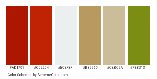 Christmas Stocking - Color scheme palette thumbnail - #ad1701 #c02204 #ecefef #b89960 #cbbc9a #7b8d13 