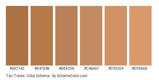 Tan Tones - Color scheme palette thumbnail - #ae7142 #b4784b #bb825a #c48a61 #d39264 #d99a6b 