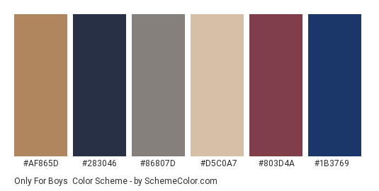 Only for Boys - Color scheme palette thumbnail - #af865d #283046 #86807d #d5c0a7 #803d4a #1b3769 