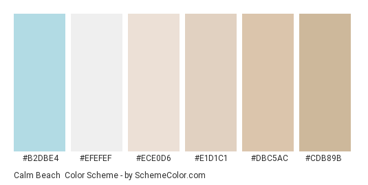 Calm Beach - Color scheme palette thumbnail - #b2dbe4 #efefef #ece0d6 #e1d1c1 #dbc5ac #cdb89b 