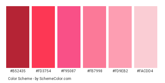 Pink Wine - Color scheme palette thumbnail - #b52435 #fd3754 #f95087 #fb7998 #fd9eb2 #facdd4 