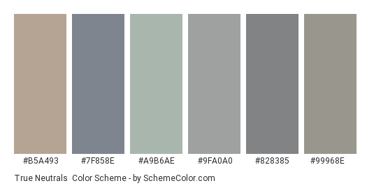 True Neutrals - Color scheme palette thumbnail - #b5a493 #7f858e #a9b6ae #9fa0a0 #828385 #99968e 