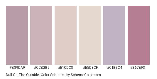 Dull on the Outside - Color scheme palette thumbnail - #b89da9 #ccb2b9 #e1cdc8 #e5d8cf #c1b3c4 #b67e93 