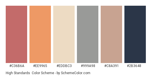 High Standards - Color scheme palette thumbnail - #c36b6a #ee9965 #eddbc3 #999a98 #c8a391 #2b3648 