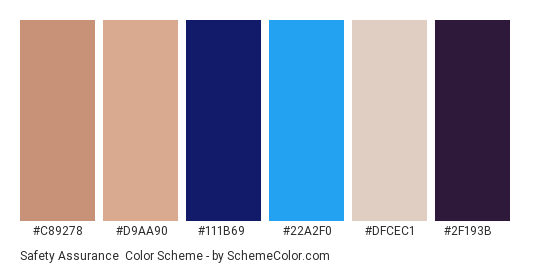 Safety Assurance - Color scheme palette thumbnail - #c89278 #d9aa90 #111b69 #22a2f0 #dfcec1 #2f193b 