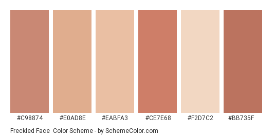 Freckled Face - Color scheme palette thumbnail - #c98874 #e0ad8e #eabfa3 #ce7e68 #f2d7c2 #bb735f 