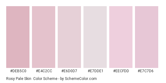 Rosy Pale Skin - Color scheme palette thumbnail - #deb5c0 #e4c2cc #e6d0d7 #e7dde1 #eecfdd #e7c7d6 