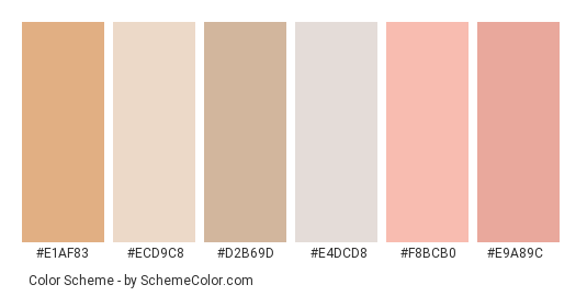 Embroidery Threads - Color scheme palette thumbnail - #e1af83 #ecd9c8 #d2b69d #e4dcd8 #f8bcb0 #e9a89c 