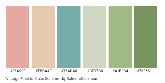 Vintage Pastels - Color scheme palette thumbnail - #e6a99f #e5caaf #76ada8 #cfd7c0 #a1b984 #789561 