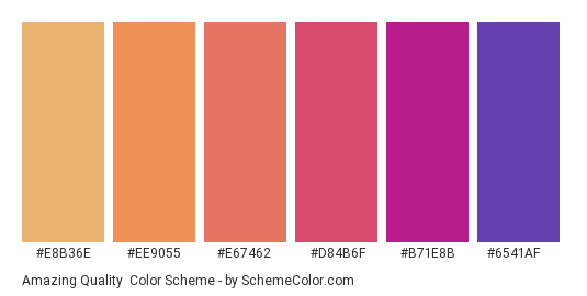 Amazing Quality - Color scheme palette thumbnail - #e8b36e #ee9055 #e67462 #d84b6f #b71e8b #6541af 