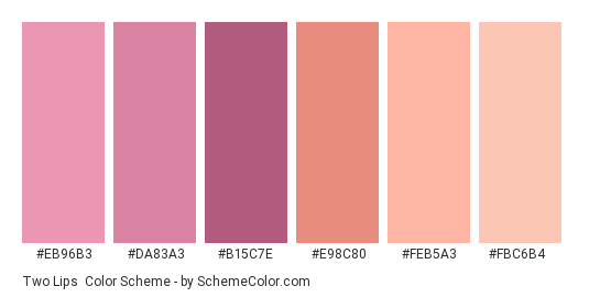 Two Lips - Color scheme palette thumbnail - #eb96b3 #da83a3 #b15c7e #e98c80 #feb5a3 #fbc6b4 