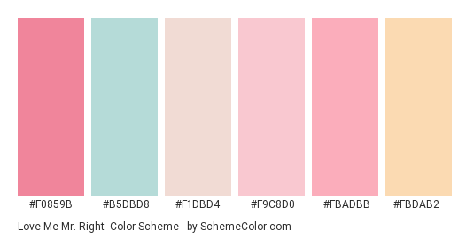 Love Me Mr. Right - Color scheme palette thumbnail - #f0859b #b5dbd8 #f1dbd4 #f9c8d0 #fbadbb #fbdab2 