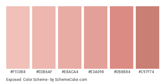 Exposed - Color scheme palette thumbnail - #f1c0b8 #edb6af #e8aca4 #e3a098 #db8b84 #c97f74 