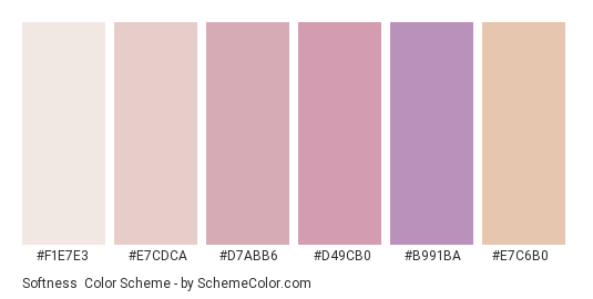 Softness - Color scheme palette thumbnail - #f1e7e3 #e7cdca #d7abb6 #d49cb0 #b991ba #e7c6b0 