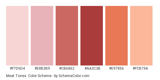 Meat Tones - Color scheme palette thumbnail - #f7d5d4 #e8b3b9 #cb6862 #aa3c3b #e97856 #fcb79a 