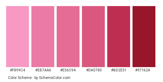 Pink Lilies Closeup - Color scheme palette thumbnail - #f899c4 #eb7aa6 #e56c94 #da5780 #bd2e51 #97162a 