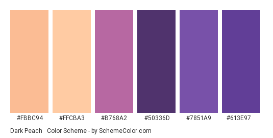 Dark Peach & Purple - Color scheme palette thumbnail - #fbbc94 #ffcba3 #b768a2 #50336d #7851a9 #613e97 