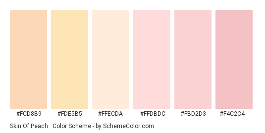 Skin of Peach & Pink - Color scheme palette thumbnail - #fcd8b9 #fde5b5 #ffecda #ffdbdc #fbd2d3 #f4c2c4 