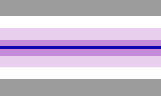 Paraboy flag