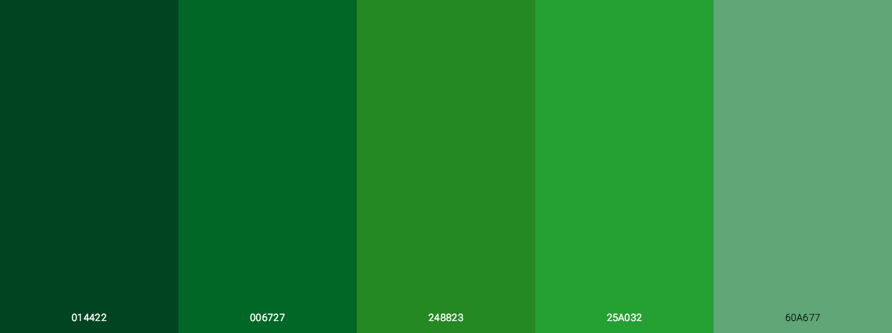 Amazon Monochromatic Green Color Scheme