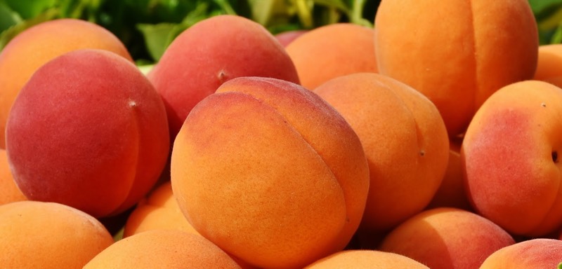 Apricots Colors - Orange