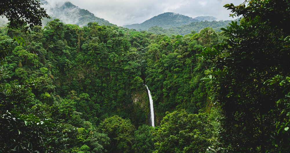 Beautiful Rainforest in Monsoon season