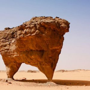 Bipod Arch Stone in the Desert