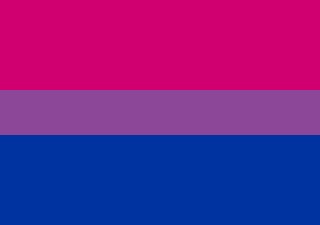 Bisexuality flag - tricolor of pink, purple and blue